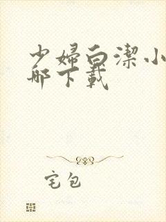 少妇白洁小说在哪下载