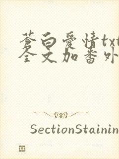 苍白爱情txt全文加番外