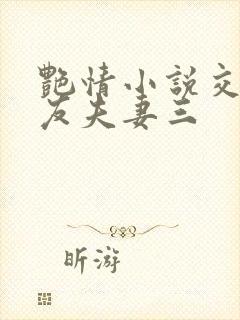 艳情小说交换女友夫妻三封面