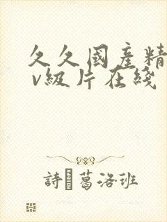 久久国产精品a v级片在线