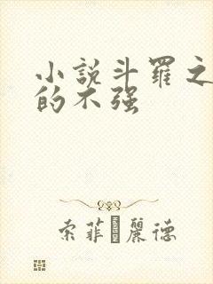 小说斗罗之我真的不强