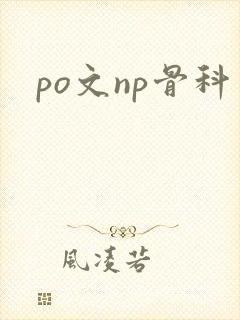 po文np骨科
