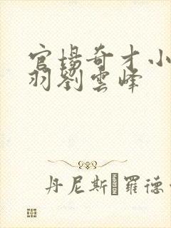 官场奇才小说陆羽刘云峰