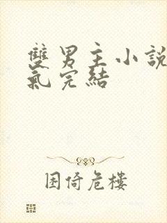 双男主小说一口气完结