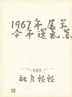 1967年属羊今年运气怎么样