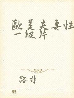 欧美夫妻性生活一级片封面