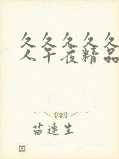 久久久久久久成人午夜精品福利