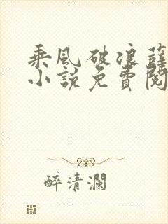 乘风破浪薛家良小说免费阅读笔趣阁