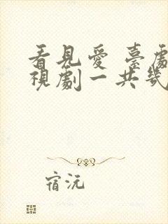 看见爱 台剧电视剧一共几集啊封面