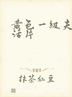 黄色一级夫妻生活片封面