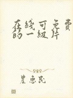 在线可免费观看的一级片封面