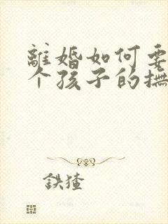 离婚如何要到两个孩子的抚养权