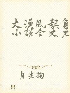 大漠风起负情深小说全文免费阅读