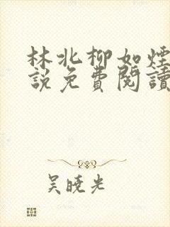 林北柳如烟的小说免费阅读