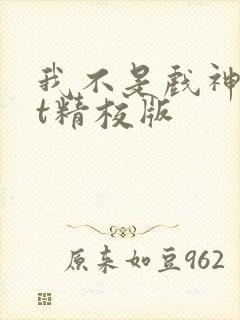 我不是戏神txt精校版