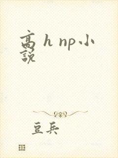 高 h np小说