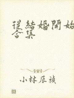 从结婚开始恋爱合集