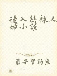 后入丝袜人妻少妇小说