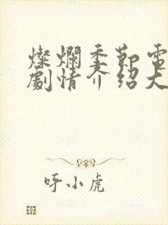 灿烂季节电视剧剧情介绍大结局封面