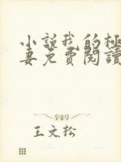 小说我的极品娇妻免费阅读全文