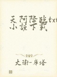天阿降临txt小说下载