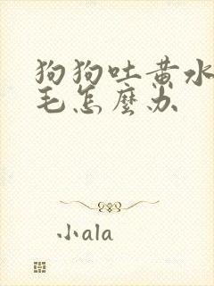 狗狗吐黄水有狗毛怎么办封面