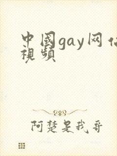 中国gay网站视频
