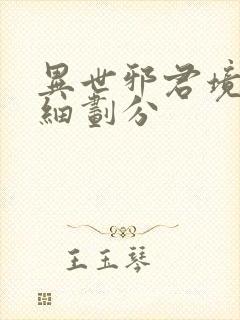 异世邪君境界详细划分