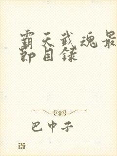 霸天武魂最新章节目录封面