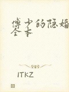 傅少的隐婚甜妻全本封面