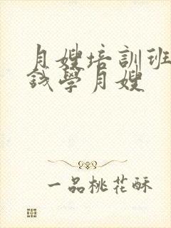 月嫂培训班多少钱学月嫂