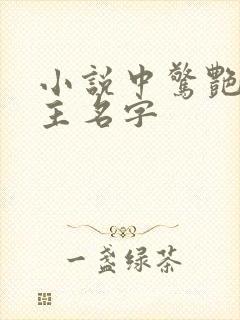 小说中惊艳的女主名字