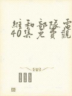 维和部队电视剧40集免费观看封面