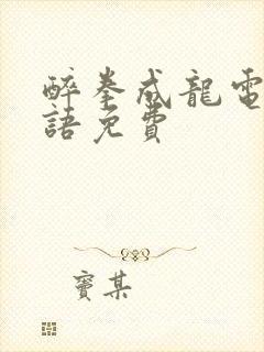 醉拳成龙电影国语免费