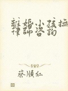 离婚小孩抚养权律师咨询