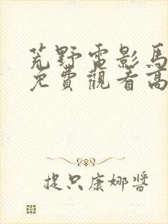 荒野电影马东锡免费观看高清