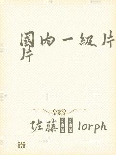 国内一级片黄色片