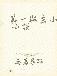 第一版主小说网 小说