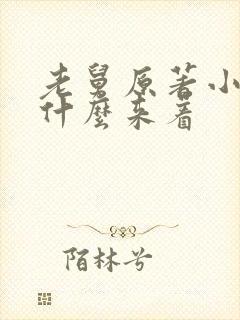 老舅原著小说叫什么来着