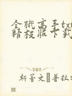 全职高手txt精校版下载