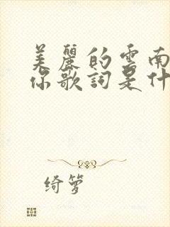 美丽的云南我爱你歌词是什么歌