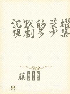 沉默的荣耀 电视剧多少集