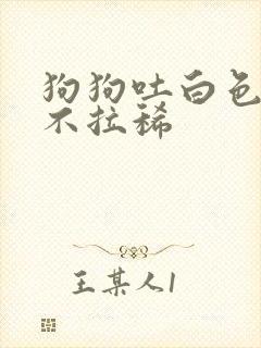 狗狗吐白色粘液不拉稀