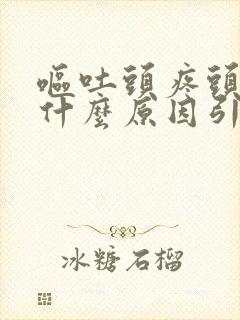 呕吐头疼头晕是什么原因引起的