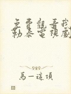 免费观看我的阿勒泰电视剧