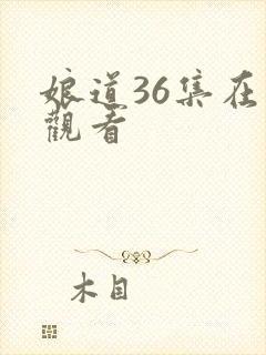娘道36集在线观看封面