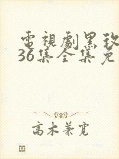 电视剧黑玫瑰第36集全集免费观看