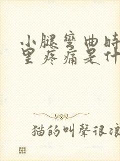 小腿弯曲时腿弯里疼痛是什么原因