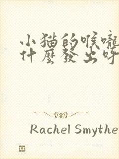 小猫的喉咙里为什么发出呼噜的声音