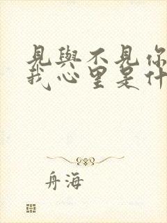 见与不见你都在我心里是什么意思